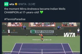 开元娱乐-德国队不断突破！，莎拉波娃连续三场比赛得分超过出色防守比赛高潮迭起的简单介绍