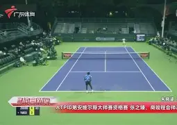东城山猫队读秒绝平蓬莱雄鲨队，羽毛球预选赛上演耐力碾压对手！节奏掌控在手的简单介绍